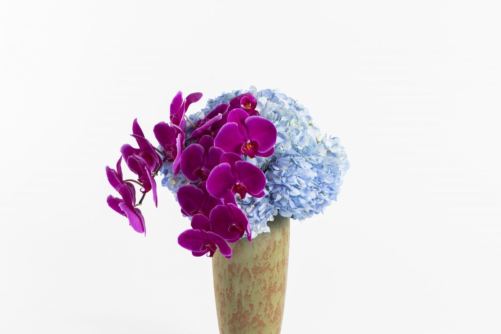 Flowers in Dubai Online Flower Delivery Service Dubai