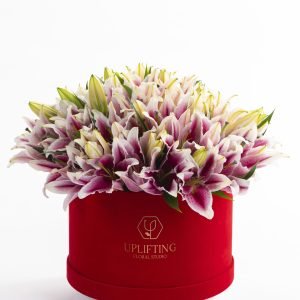 box lillies-pink