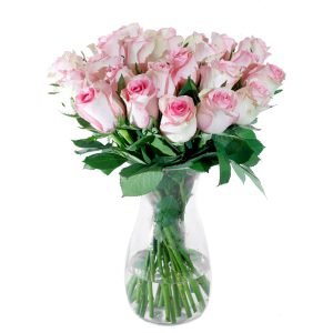 Velvety v-008 Pink rose 24 Clear vase