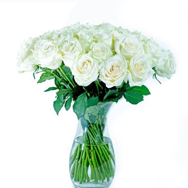 Rejuvenating v-112 White rose 36 Clear vase