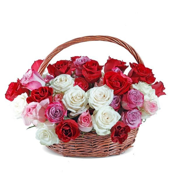 basket of rose Mix rose 60