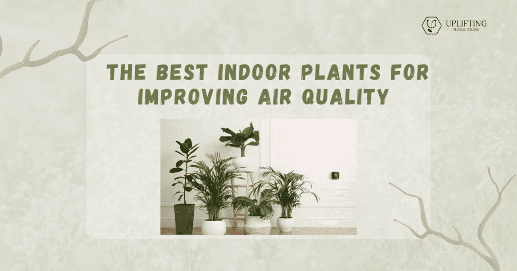 THE BEST INDOOR PLANTS FOR IMPROVING AIR QUALITY