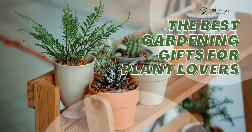The Best Gardening Gifts for Plant Lovers