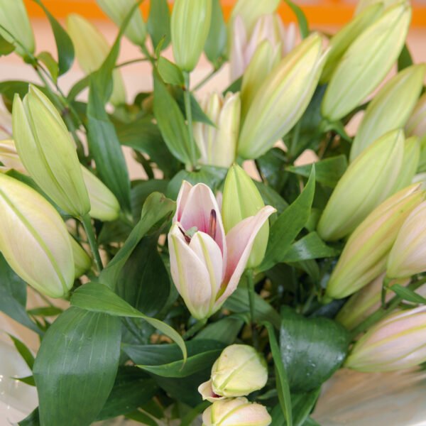 lillies : "uplifting-floral-studio"
