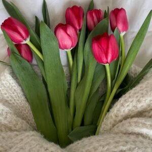 red-tulips-bouquet