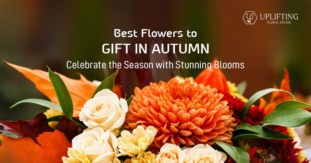 best-autumn-flower-gifts