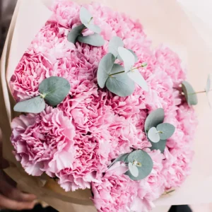 pinky_carnations_2_-jpg