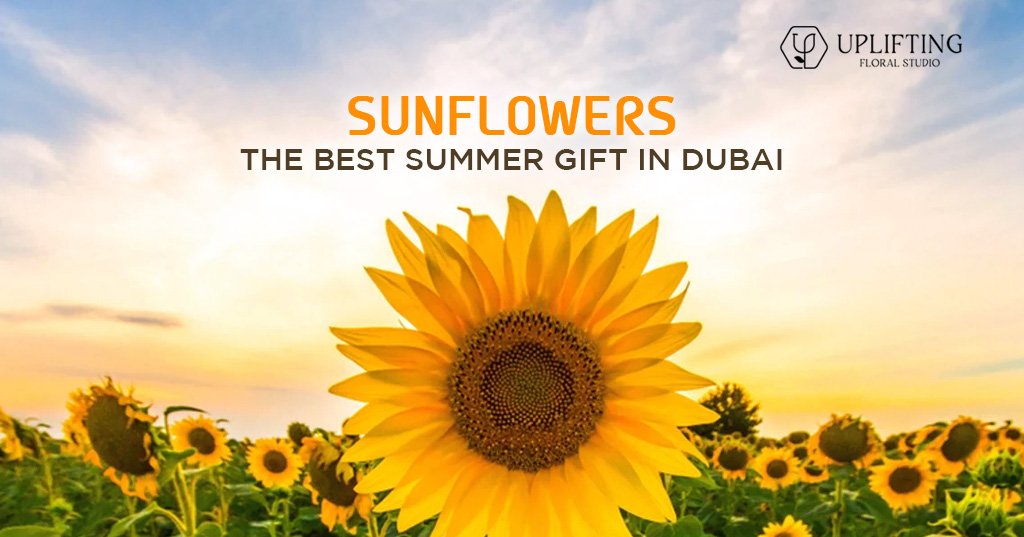 sunflowers-best-Dubai-summer-gifts