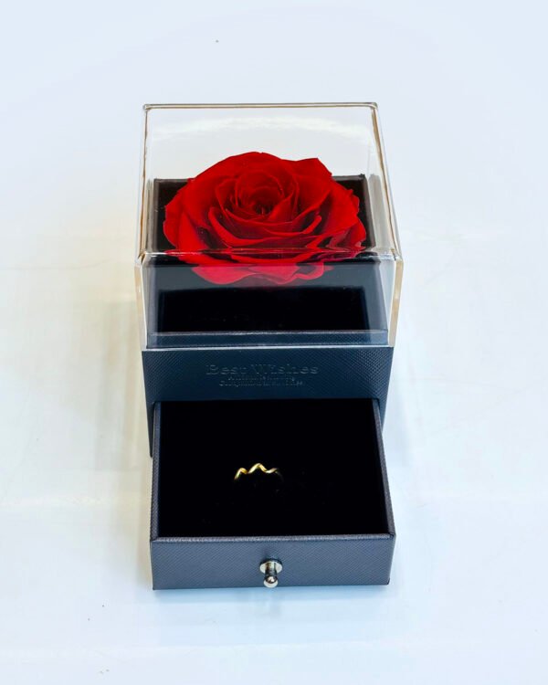 Preserved Rose Ring-Box - Image 2